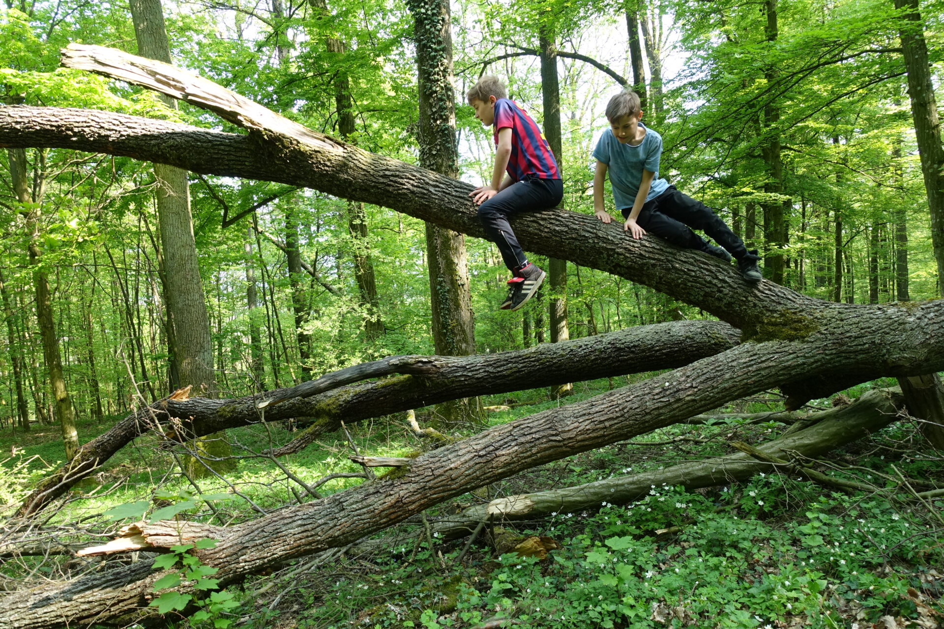 Erlebnispädagogik: Ein neuer Weg für Kinder mit ADHS