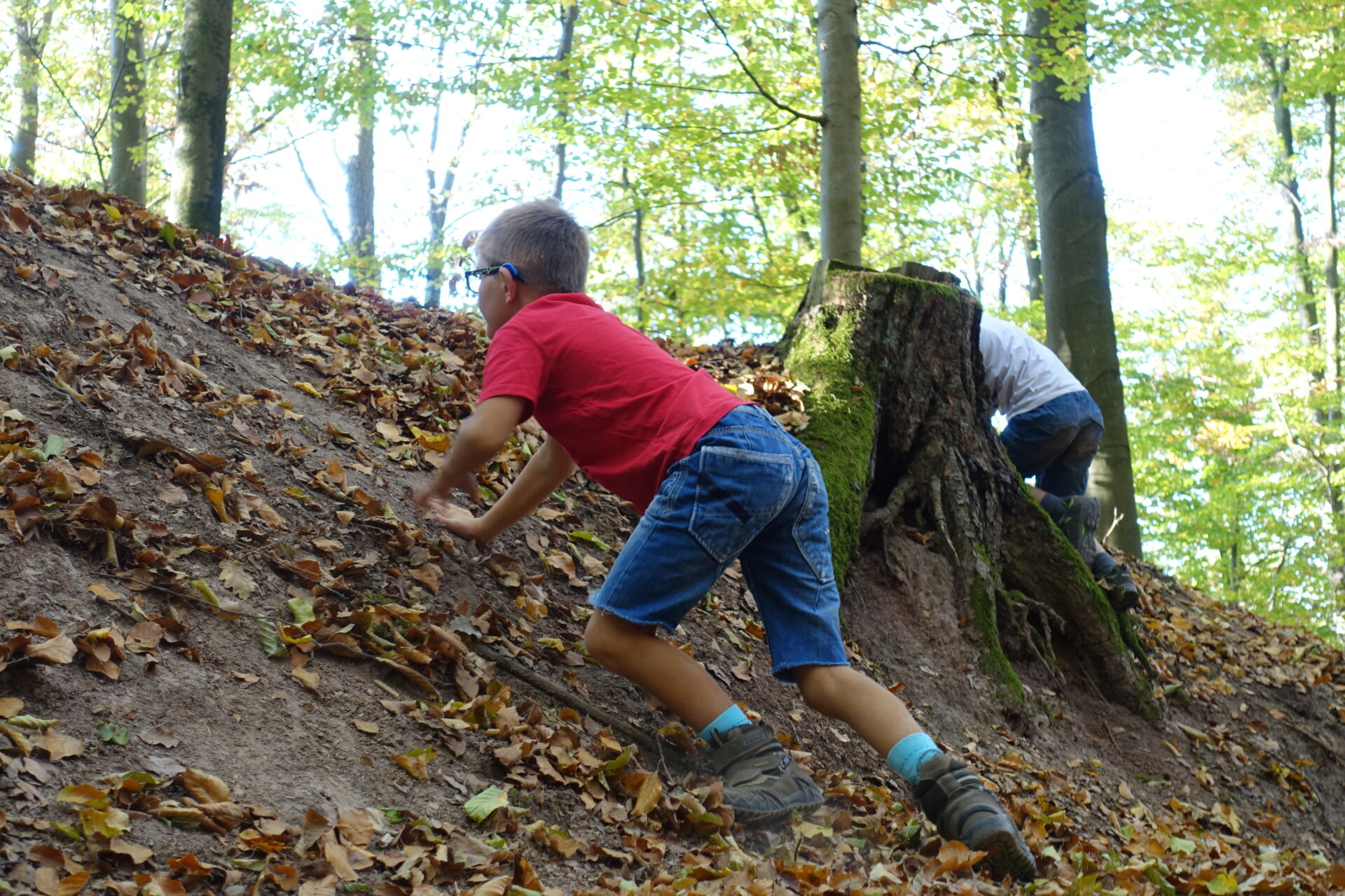 AD(H)S – Behandeln ohne Ritalin